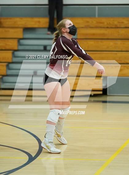 Thumbnail 1 in Golden @ Evergreen photogallery.