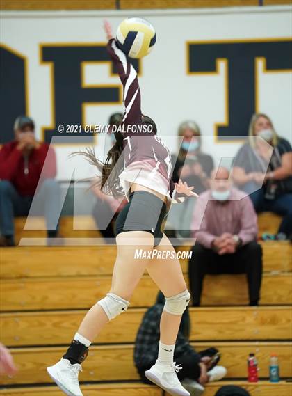 Thumbnail 3 in Golden @ Evergreen photogallery.