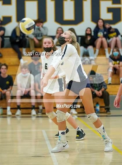 Thumbnail 1 in Golden @ Evergreen photogallery.