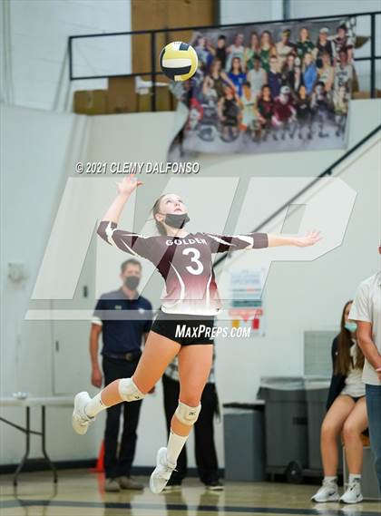 Thumbnail 1 in Golden @ Evergreen photogallery.