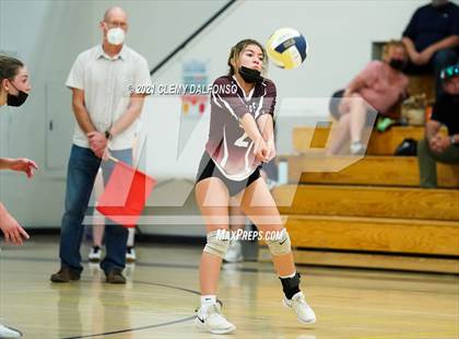 Thumbnail 1 in Golden @ Evergreen photogallery.