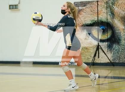 Thumbnail 3 in Golden @ Evergreen photogallery.