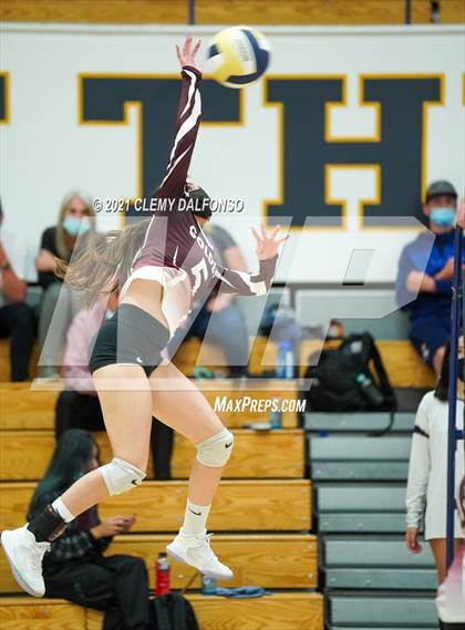 Thumbnail 3 in Golden @ Evergreen photogallery.