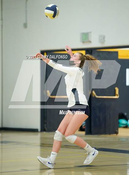 Thumbnail 3 in Golden @ Evergreen photogallery.