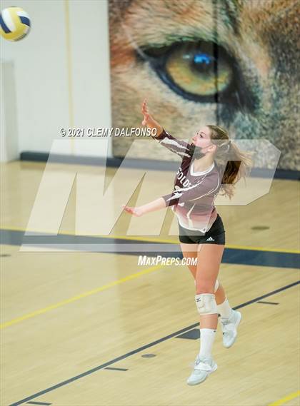 Thumbnail 3 in Golden @ Evergreen photogallery.