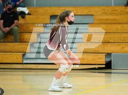 Thumbnail 3 in Golden @ Evergreen photogallery.