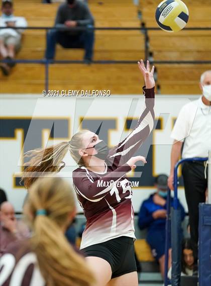 Thumbnail 1 in Golden @ Evergreen photogallery.