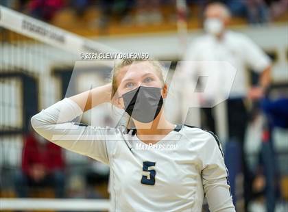 Thumbnail 3 in Golden @ Evergreen photogallery.