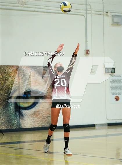 Thumbnail 3 in Golden @ Evergreen photogallery.