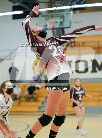 Thumbnail 3 in Golden @ Evergreen photogallery.