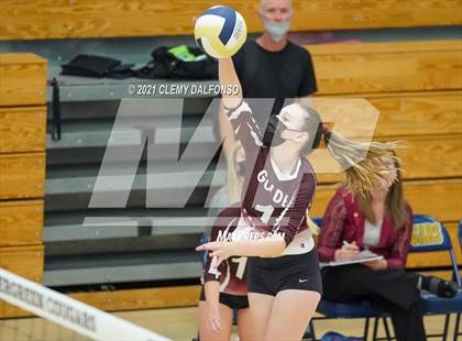 Thumbnail 1 in Golden @ Evergreen photogallery.