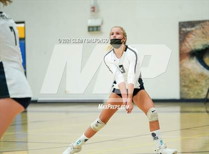 Thumbnail 3 in Golden @ Evergreen photogallery.