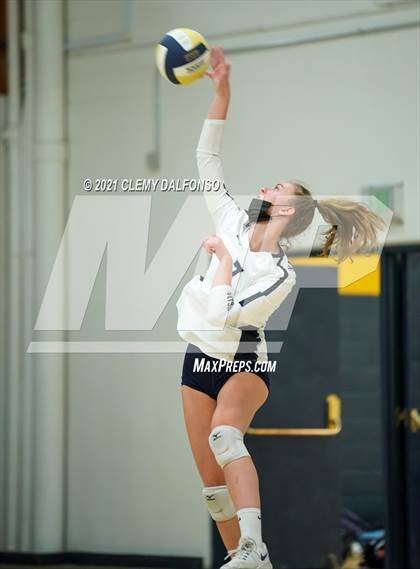 Thumbnail 1 in Golden @ Evergreen photogallery.