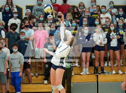 Thumbnail 2 in Golden @ Evergreen photogallery.