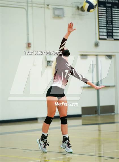 Thumbnail 1 in Golden @ Evergreen photogallery.