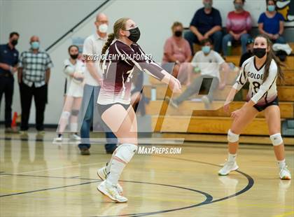 Thumbnail 1 in Golden @ Evergreen photogallery.