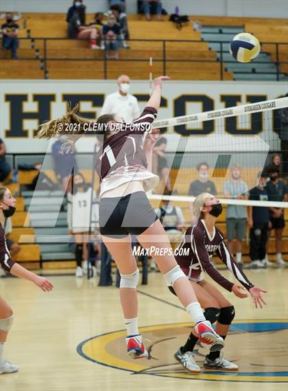 Thumbnail 1 in Golden @ Evergreen photogallery.