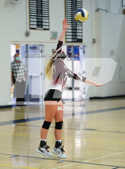 Thumbnail 3 in Golden @ Evergreen photogallery.