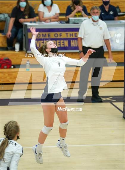 Thumbnail 1 in Golden @ Evergreen photogallery.