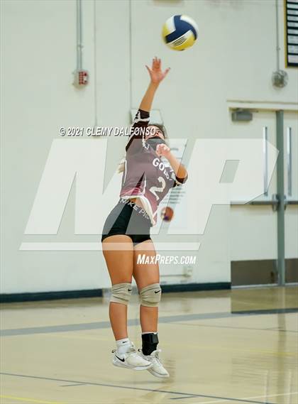 Thumbnail 3 in Golden @ Evergreen photogallery.