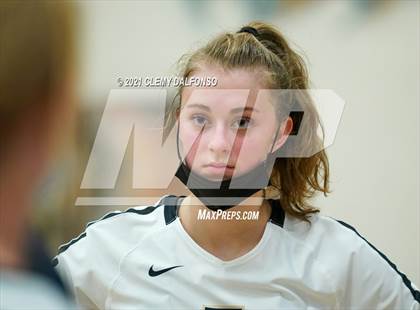 Thumbnail 1 in Golden @ Evergreen photogallery.