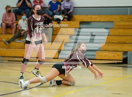 Thumbnail 2 in Golden @ Evergreen photogallery.