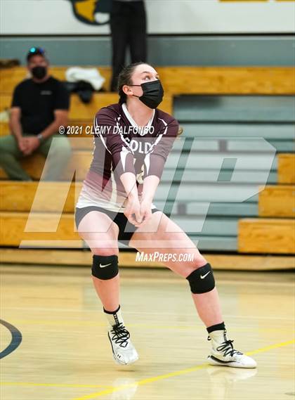 Thumbnail 3 in Golden @ Evergreen photogallery.