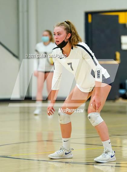 Thumbnail 3 in Golden @ Evergreen photogallery.