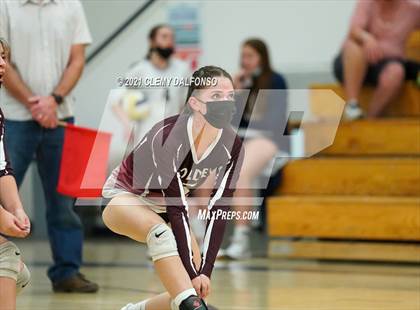 Thumbnail 3 in Golden @ Evergreen photogallery.