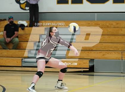 Thumbnail 2 in Golden @ Evergreen photogallery.