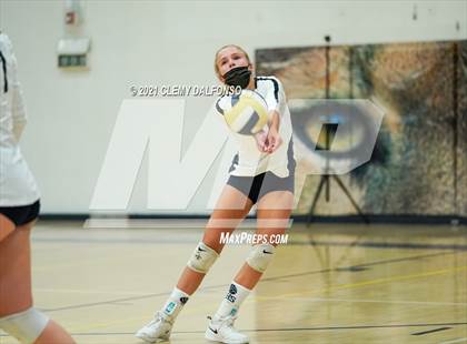 Thumbnail 1 in Golden @ Evergreen photogallery.