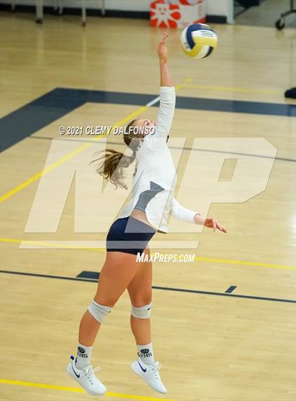 Thumbnail 3 in Golden @ Evergreen photogallery.