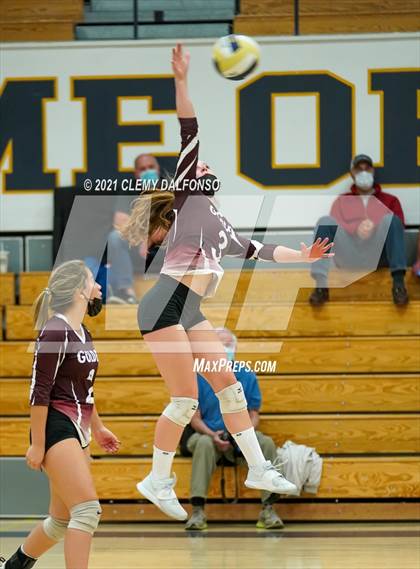 Thumbnail 3 in Golden @ Evergreen photogallery.