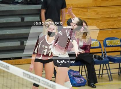 Thumbnail 3 in Golden @ Evergreen photogallery.