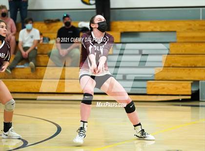 Thumbnail 1 in Golden @ Evergreen photogallery.