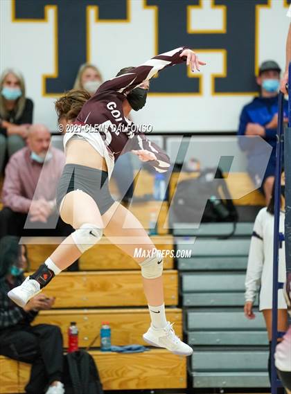 Thumbnail 3 in Golden @ Evergreen photogallery.