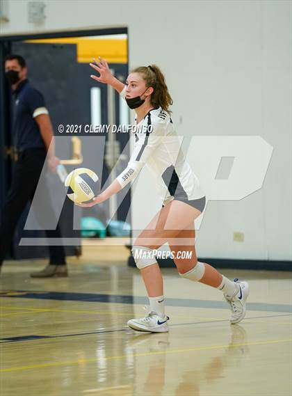 Thumbnail 1 in Golden @ Evergreen photogallery.