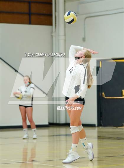 Thumbnail 1 in Golden @ Evergreen photogallery.