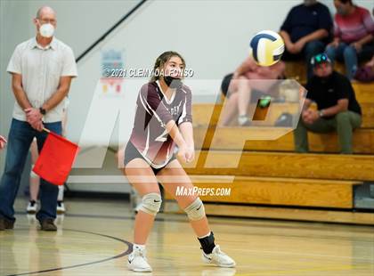 Thumbnail 3 in Golden @ Evergreen photogallery.