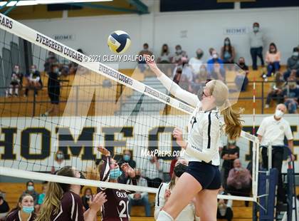 Thumbnail 2 in Golden @ Evergreen photogallery.