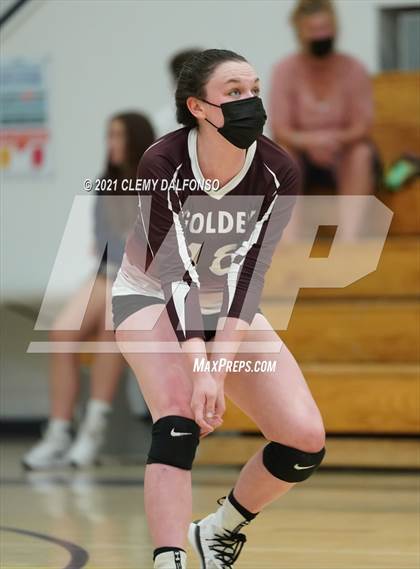 Thumbnail 1 in Golden @ Evergreen photogallery.