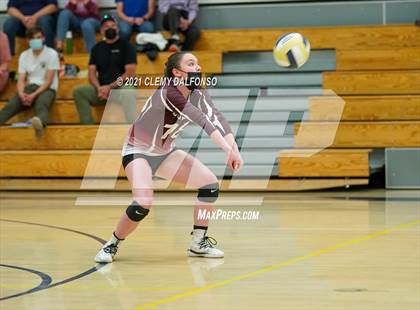 Thumbnail 1 in Golden @ Evergreen photogallery.