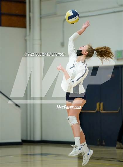 Thumbnail 3 in Golden @ Evergreen photogallery.