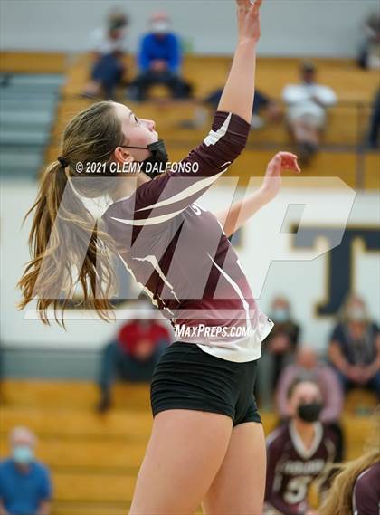 Thumbnail 3 in Golden @ Evergreen photogallery.