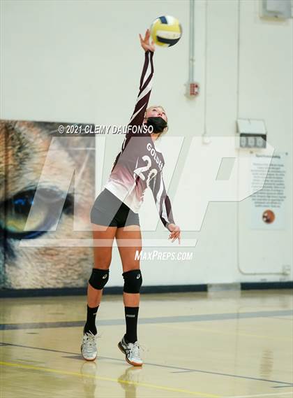 Thumbnail 2 in Golden @ Evergreen photogallery.