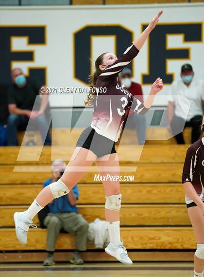 Thumbnail 1 in Golden @ Evergreen photogallery.