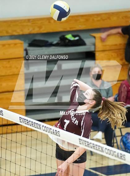 Thumbnail 3 in Golden @ Evergreen photogallery.