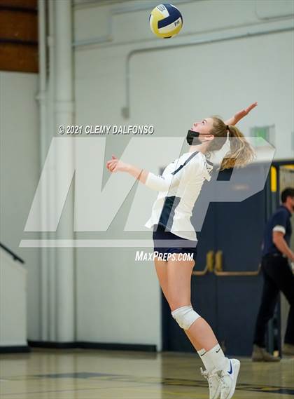 Thumbnail 3 in Golden @ Evergreen photogallery.