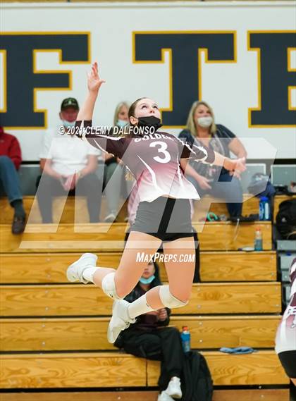 Thumbnail 3 in Golden @ Evergreen photogallery.