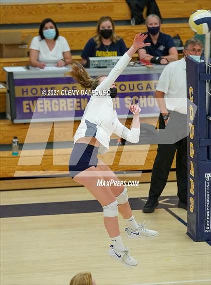 Thumbnail 1 in Golden @ Evergreen photogallery.